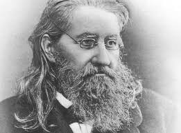 Materia Medica  by Dr. Constantine Hering 